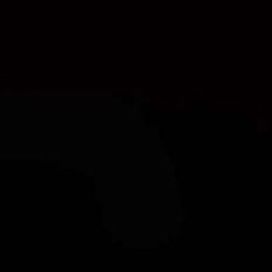 Meet your Posher, Tru